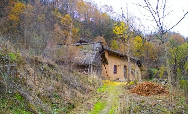 1975年，生物学家张敏驰在河北偏远山区科考时，意外目睹一名浑身长毛、直立行走的