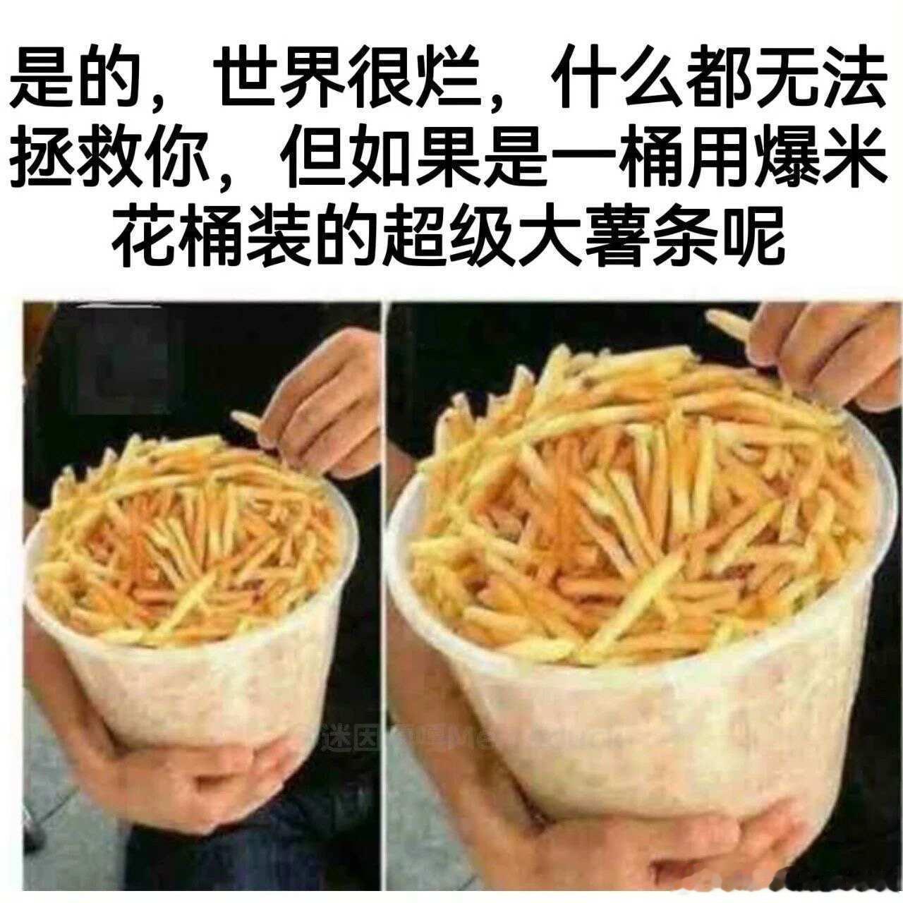 不考虑物种我嫁给薯条的原因