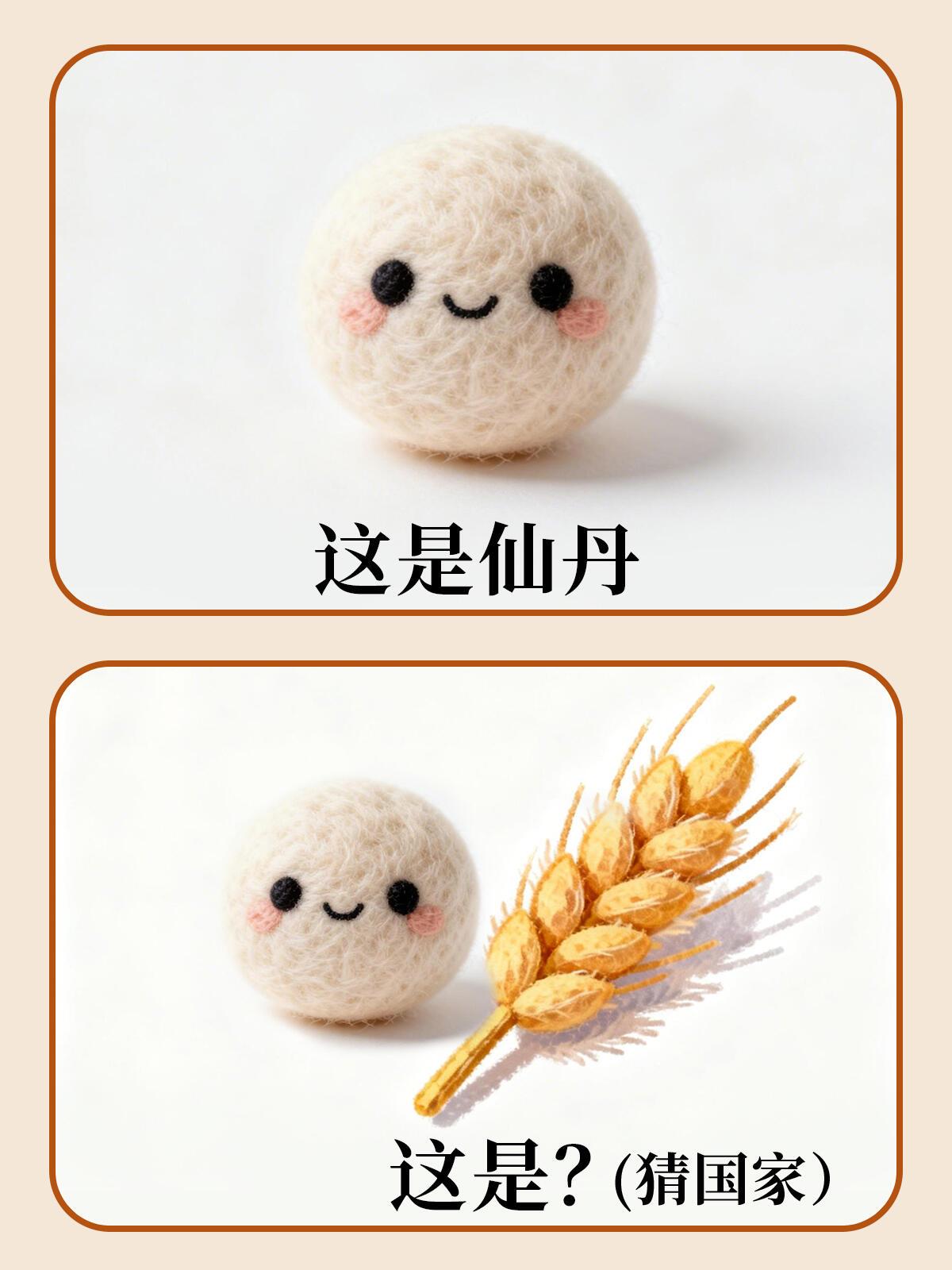 【爆笑梗图】笑到肚子疼❤谐音梗❤（55）哈哈哈评论区里找答案更多有趣的