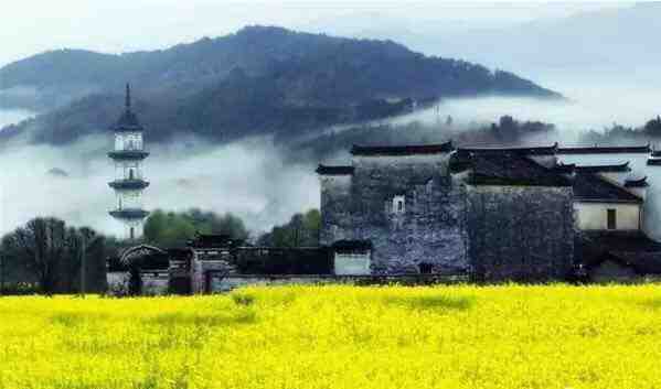 婺源最美的时节，趁花开正好，约上好友出发吧！