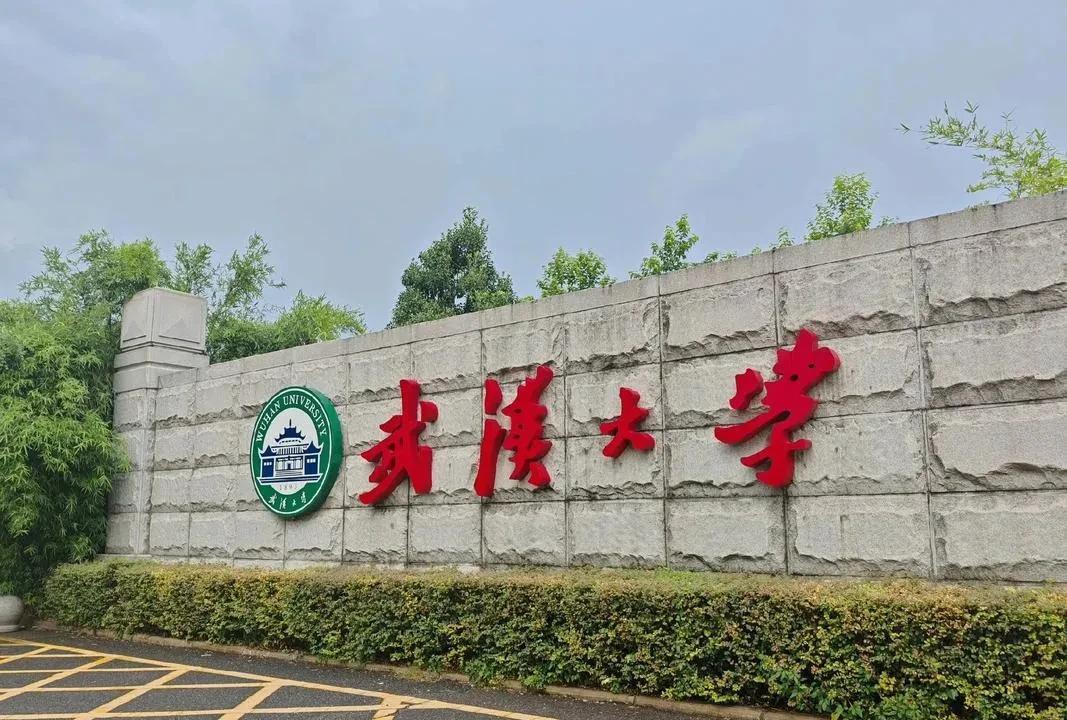 从武大“图书馆事件”来看，中央巡察组4年前就指出的校风学风问题不但没有改正，反而