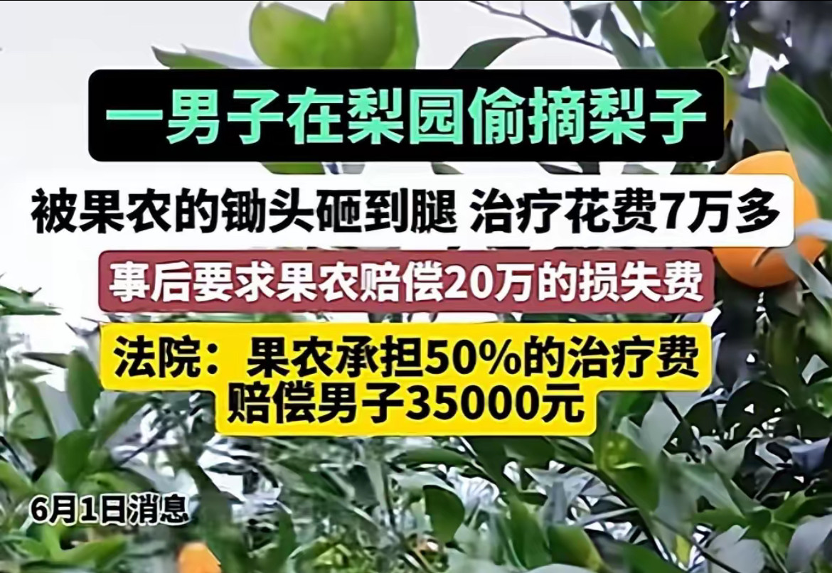偷梨被发现逃跑，过程中被梨主人手中的锄头打伤，看病花7万，索赔20万，法院判决3.5万。这个官司合理
