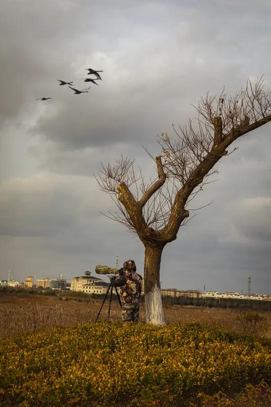 这年头，“打鸟”这爱好可太烧钱了，有人一年能花掉一辆保时捷！就说30岁出头的小吴