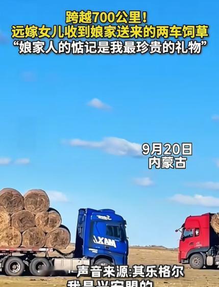 “泪目了！”内蒙古，女孩从兴安盟远嫁锡盟阿巴嘎旗，由于今年雨水不多，女孩那里的草