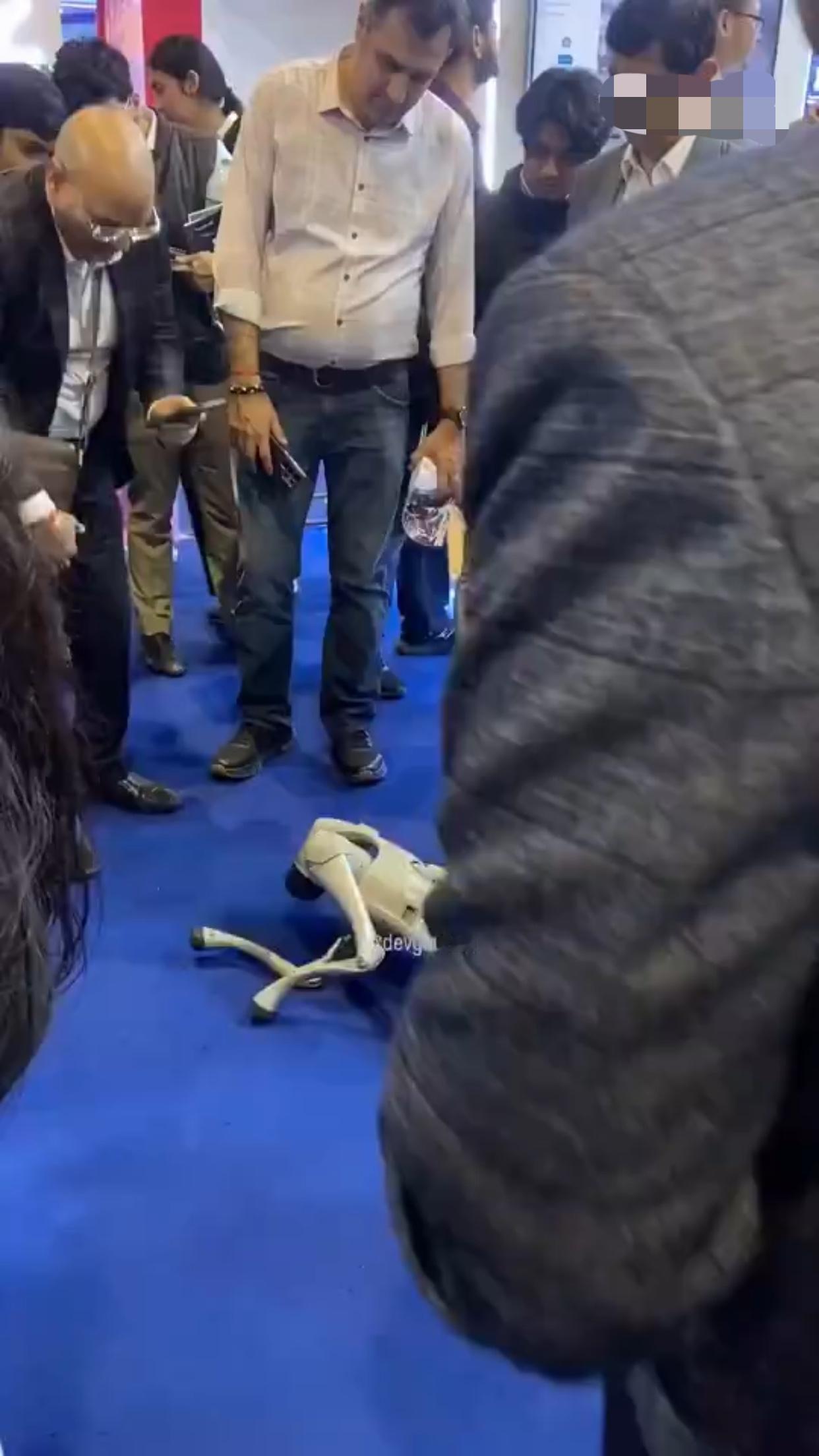 印度的人工智能峰会上，有一家印度商家从中国引进的机器狗由于没有付完尾款，在峰会的