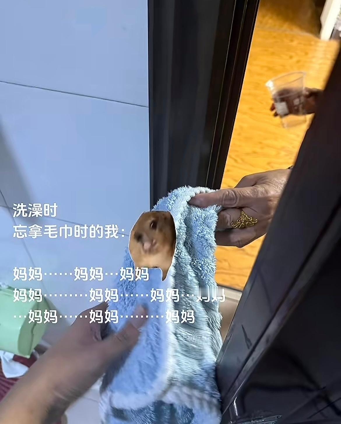 一般这个时候妈妈的听力是最差的🤣👌评论区太有生活了​​​