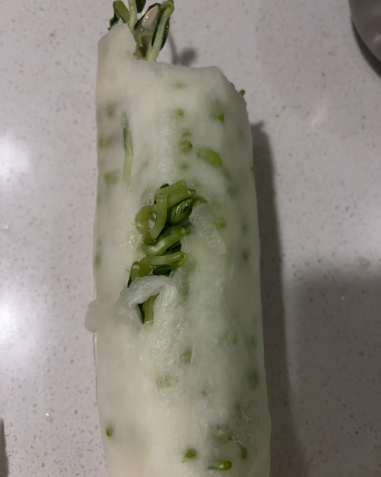 老黄瓜里发芽了，有没有研究价值​​​