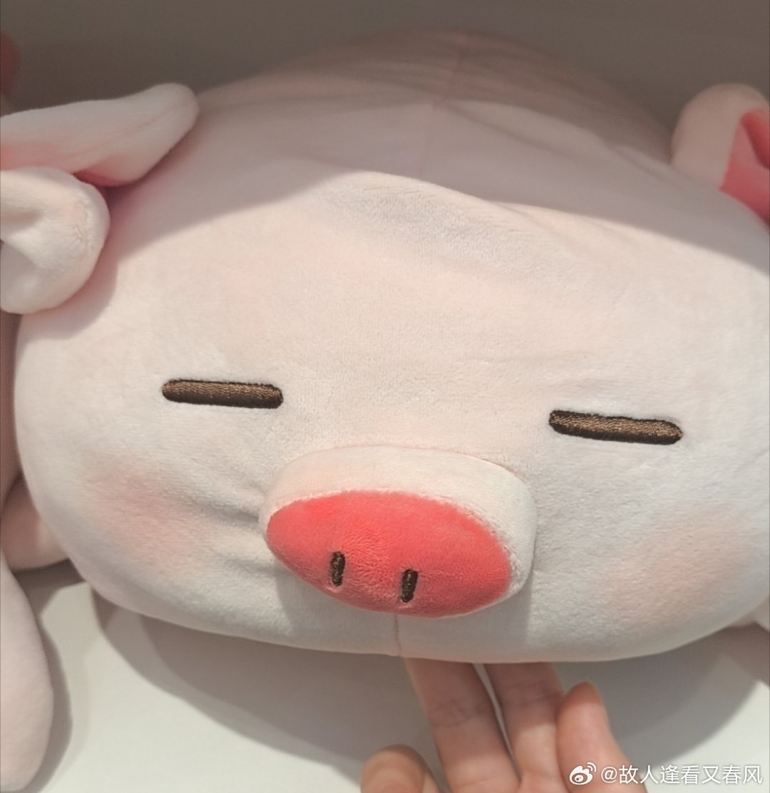 偶遇我欧尼呀​​​