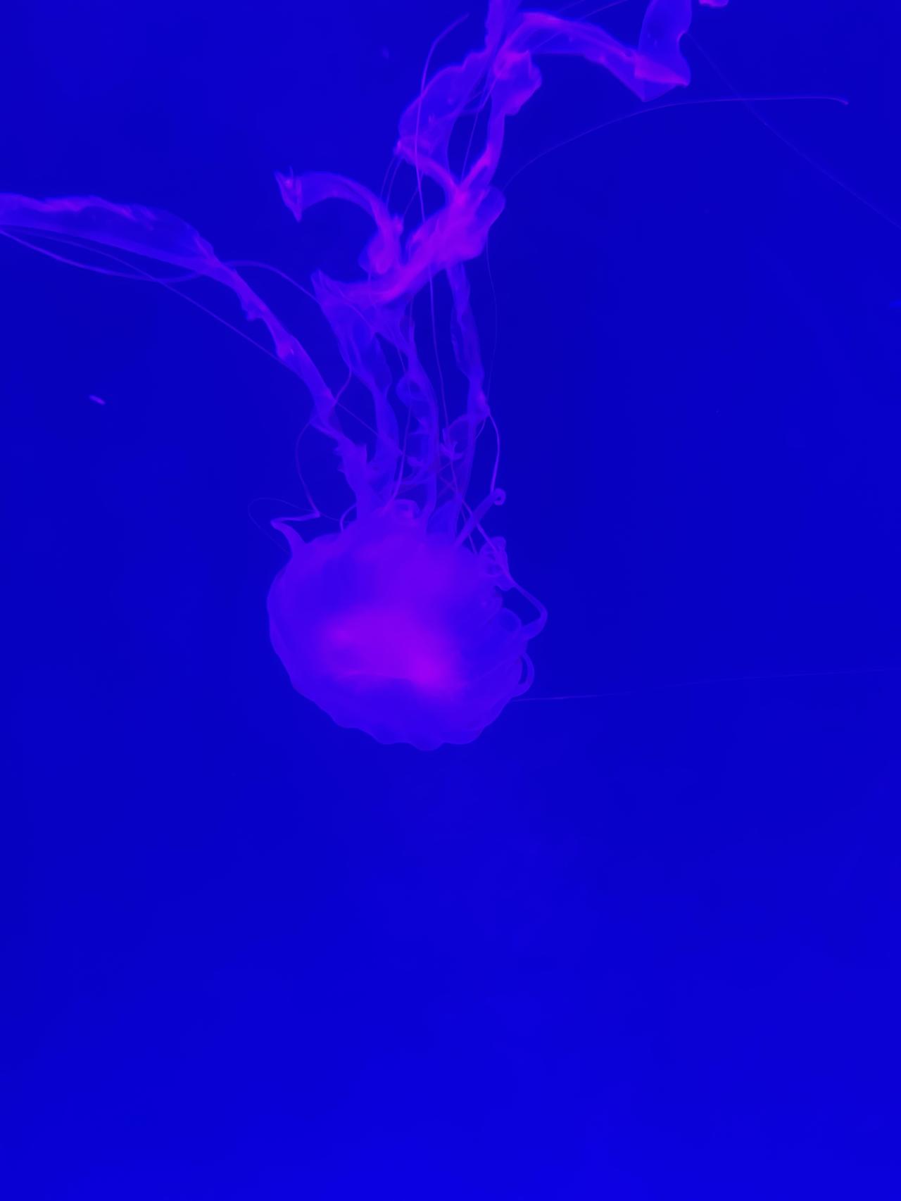 《道德经》里这段话，我第一次读的时候，觉得老子太冷血了。“天地不仁，以万物为