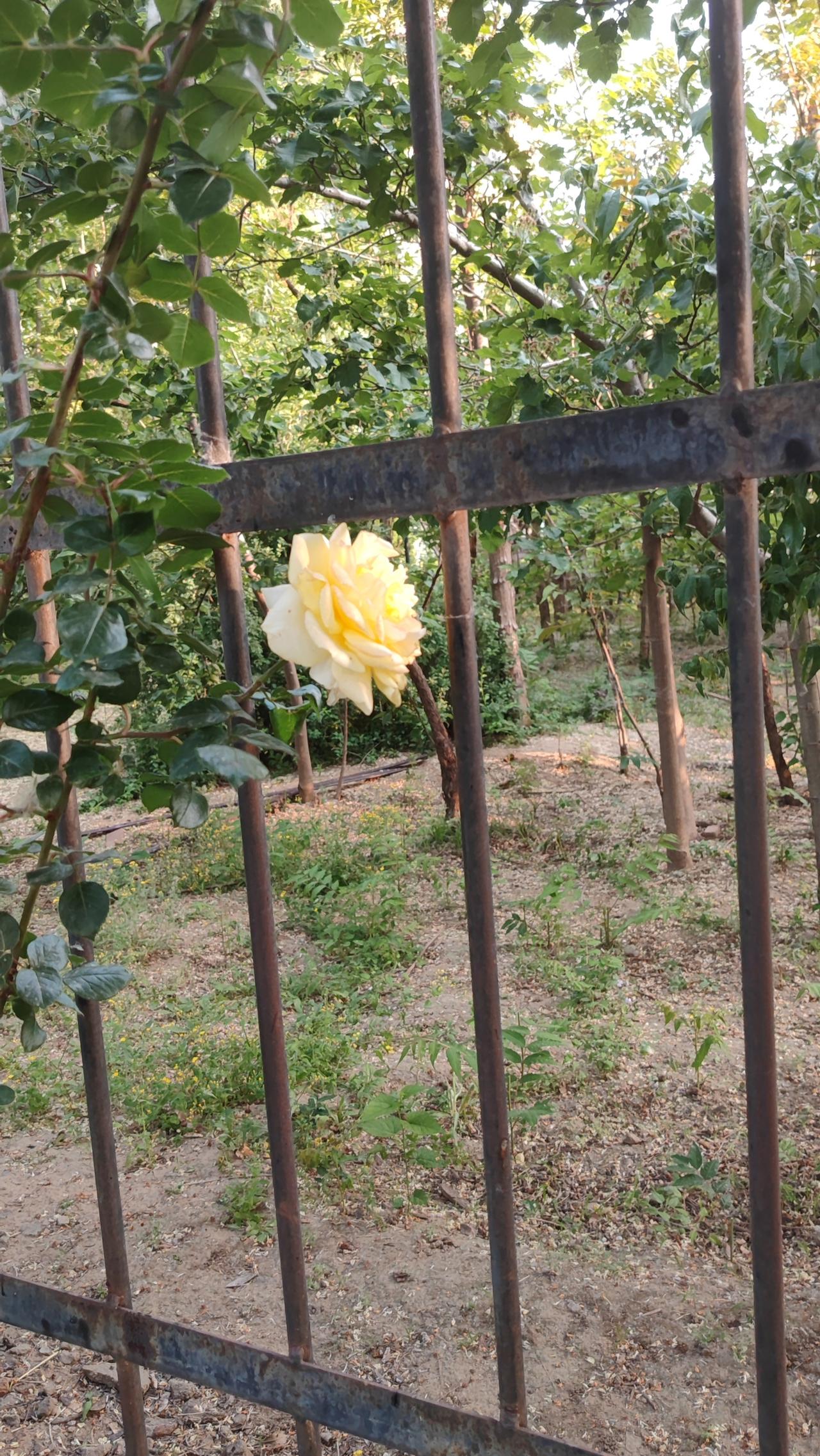 守住内心的宁静知足不辱，知止不殆，可以长久。汉代隐士严遵生活清贫，却拒绝了
