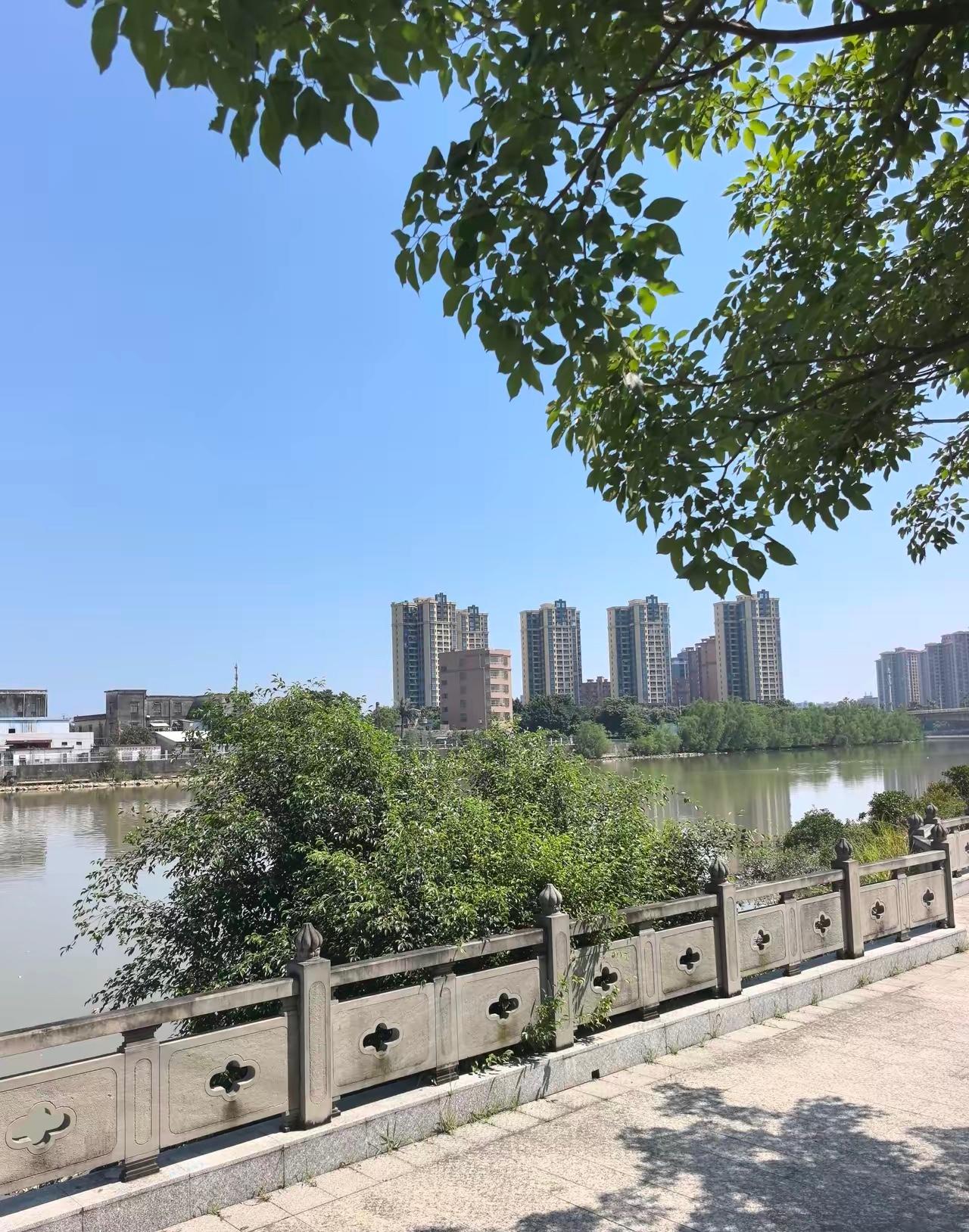 今年的天气很奇怪！前一段时间，总有人嘚瑟，广东今年没有夏天，比北方好多地方都凉快