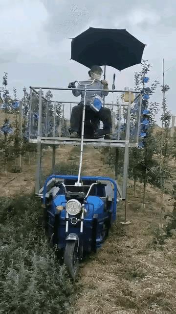 这活将来能否交给机器人干？