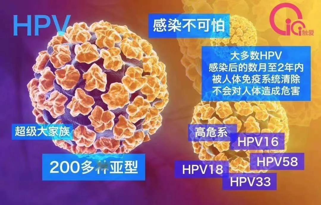 国家已经正式推出HPV疫苗免费接种政策啦，这可是实实在在惠及千万家庭的好事！
