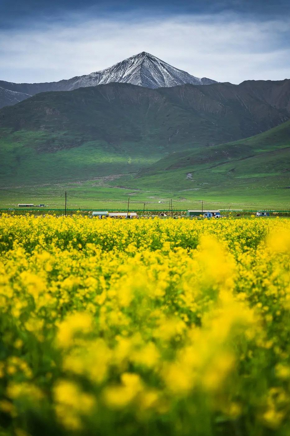 我经常都跟家长讲，你们要想图便宜的话，你们到其他地方去，我回第一时间都会告诉家长