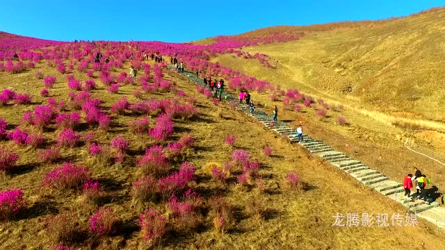 扎兰屯市医院贺新年(褚院长新年贺词)_土豆视