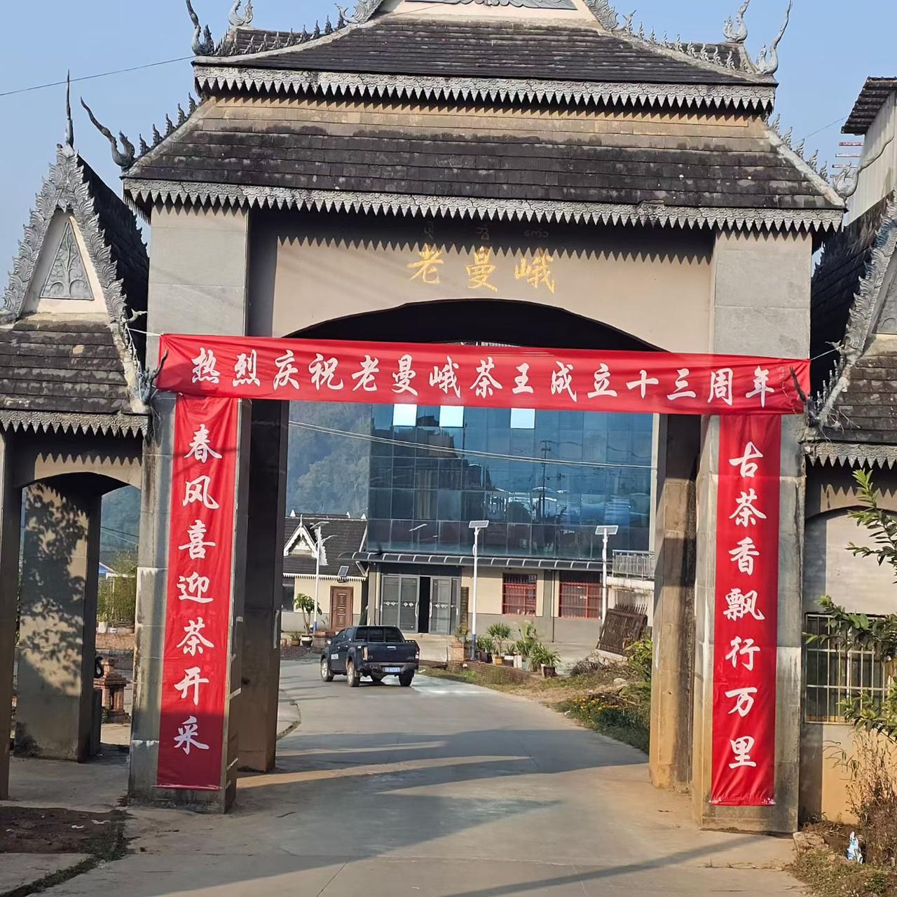 老曼峨2026年茶已下山⛰春的味道🈶苦💔🈶甜❤️这就是人生的百味💦水已