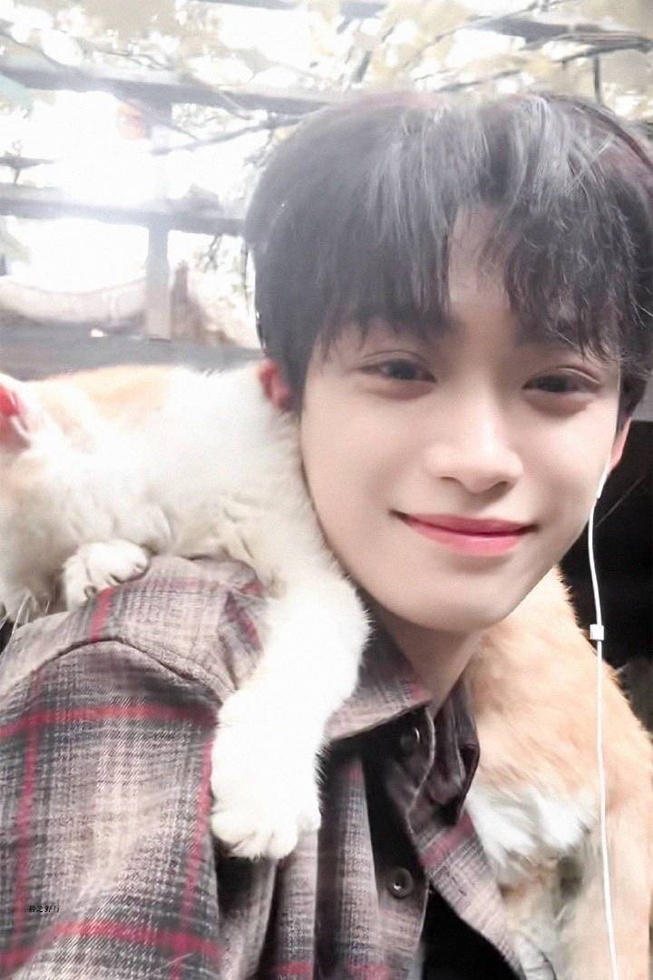这里其实有两只小猫​​​
