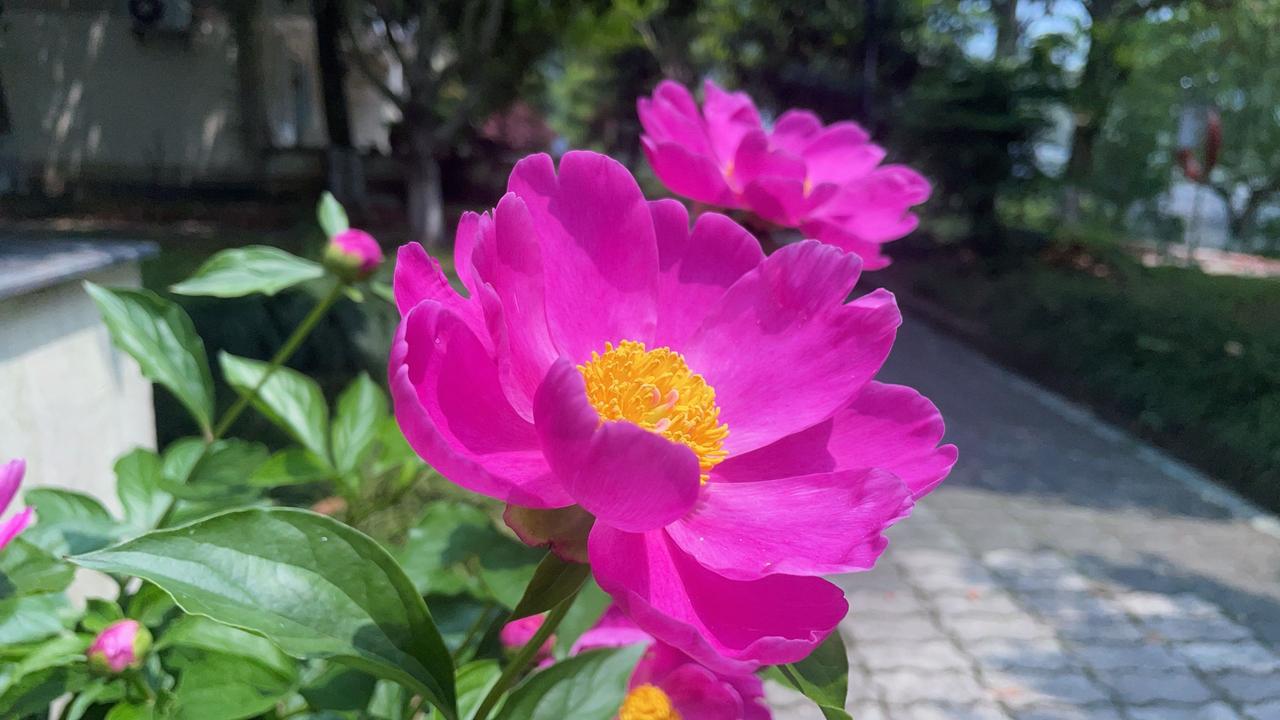 身边有一个特别搞笑的文友，四十多岁，两个女儿，离婚大概好多年了，父亲生病，母亲以