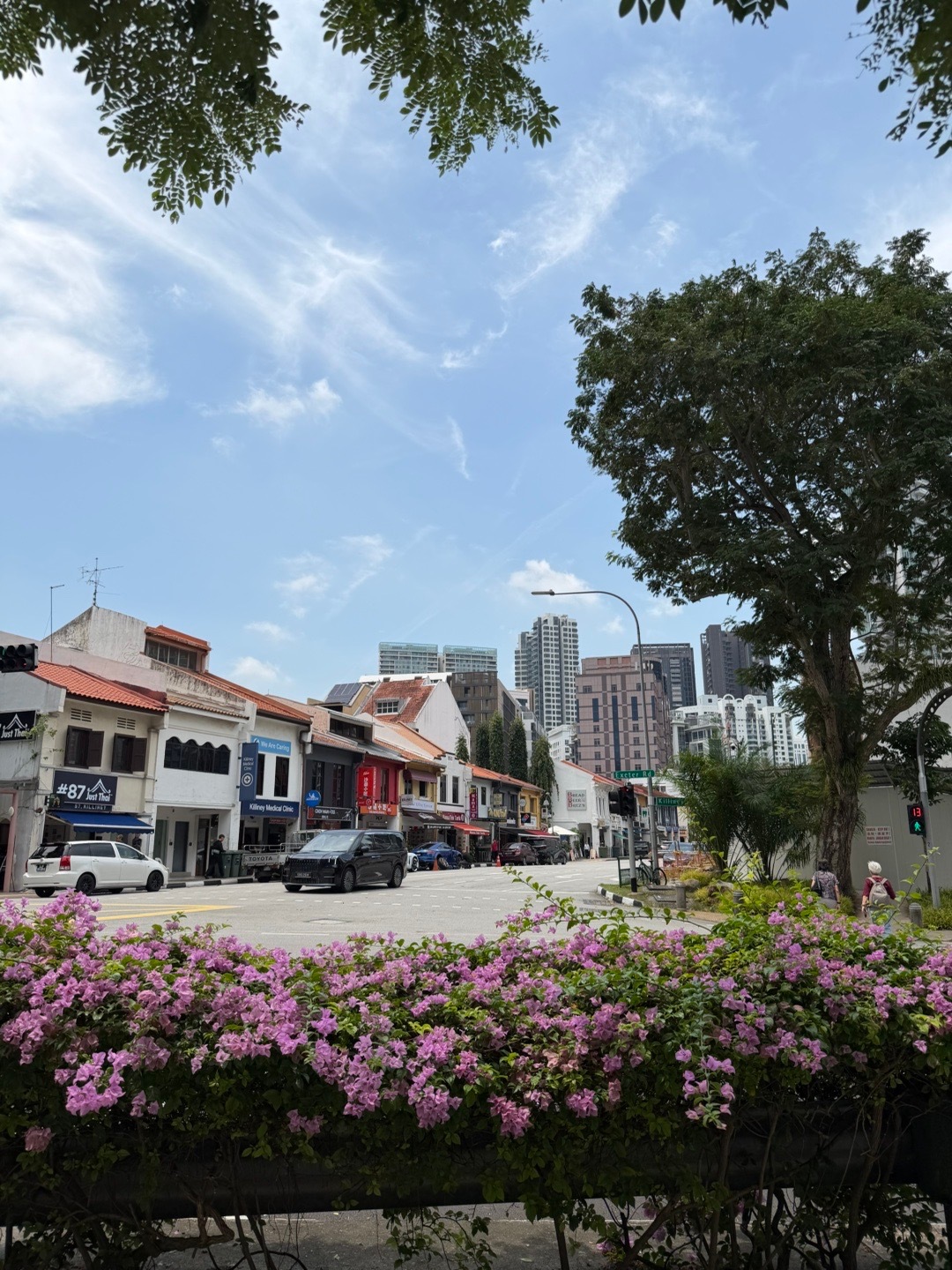 来过个夏天🏝️到处是绿植fafa让人心情美丽多吃两碗米饭新加坡·新加坡圣淘沙