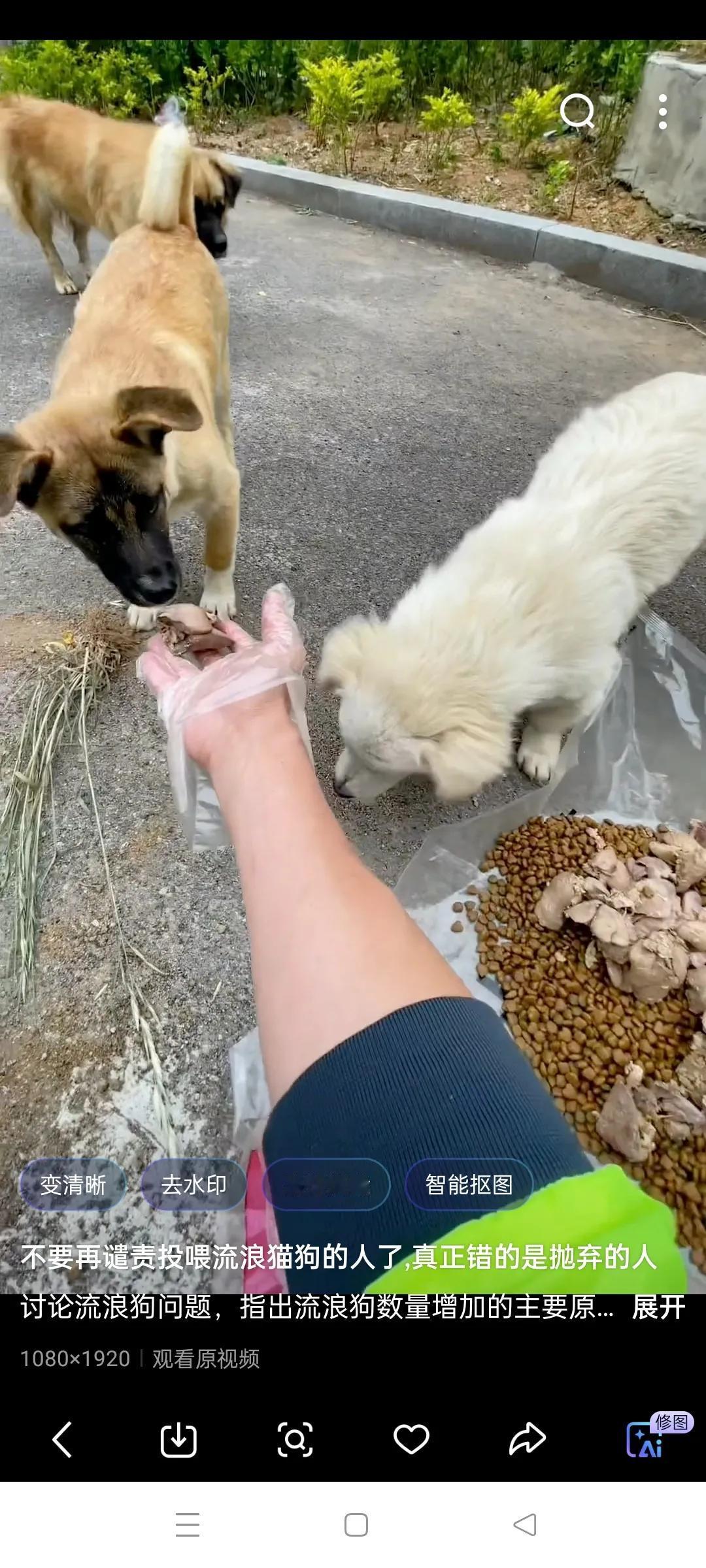 如果把所有的流浪猫狗都处理掉，每年会减少多少人被猫抓伤，被狗咬伤会减少多少人死亡