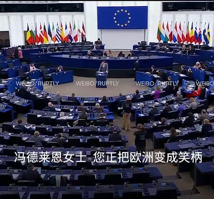 欧盟议会上演了火药味十足的一幕。一位议员当面痛斥欧盟委员会主席冯德莱恩，说她的政