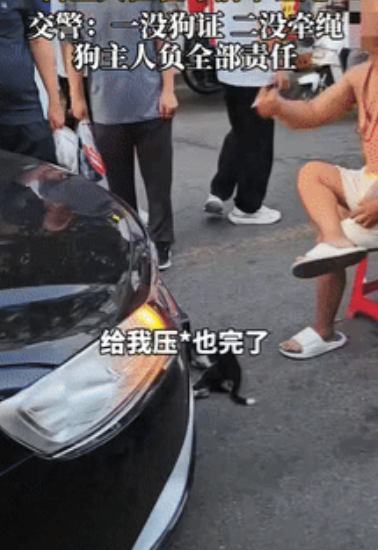 “这就是自作自受！”河北一男子出门遛狗不栓狗绳，狗狗在路上乱窜，不幸被车撞死，没
