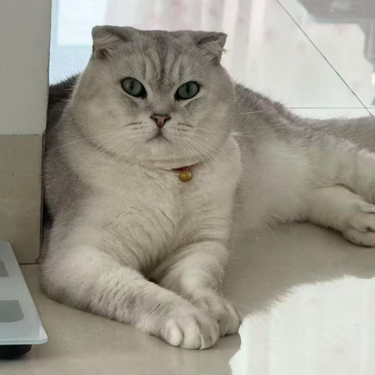 刷到网红小英前夫的经历，我直接看傻了眼，这哪是人生逆袭，分明是亲手把自己推进深渊