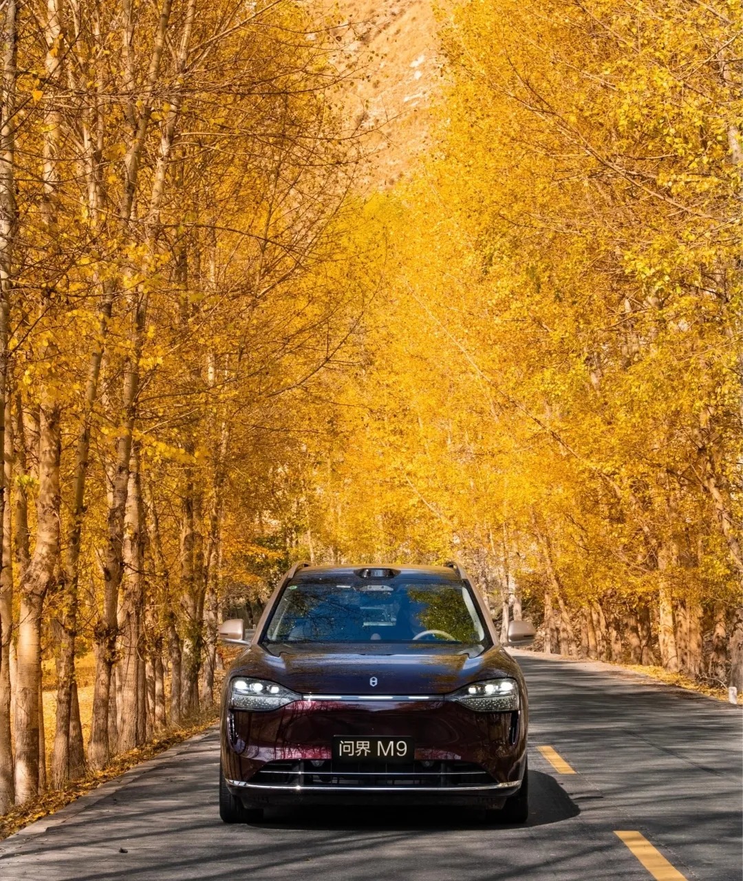 问界M9明日交车！M9换代首交付+张兴海重庆论坛发声，赛力斯周周有捷报