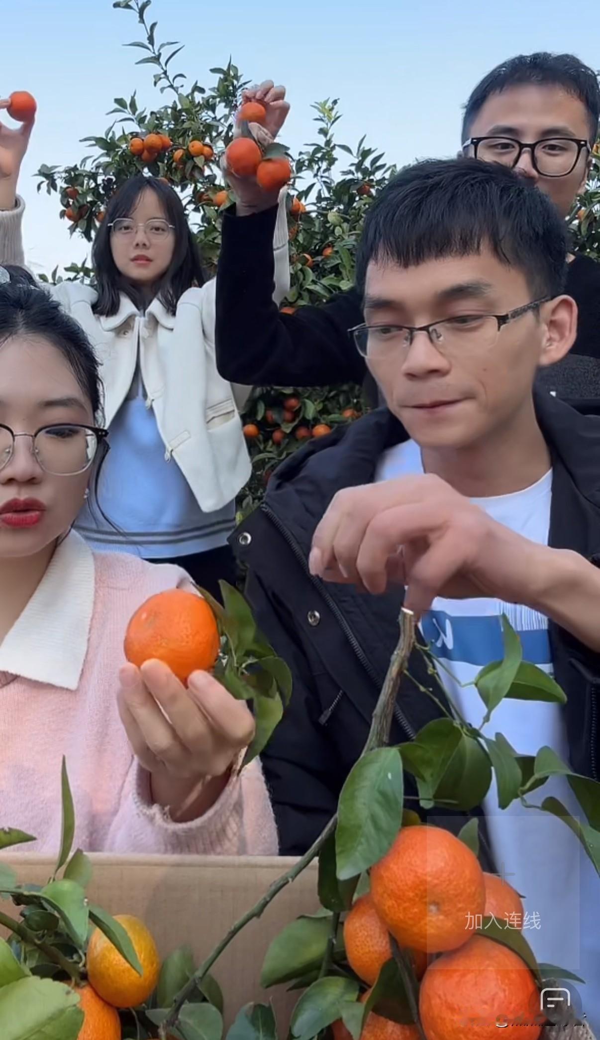 今天下午，唐尚珺和他的小伙伴在果园开启了直播。直播刚一开始，便有两千多名网友涌入