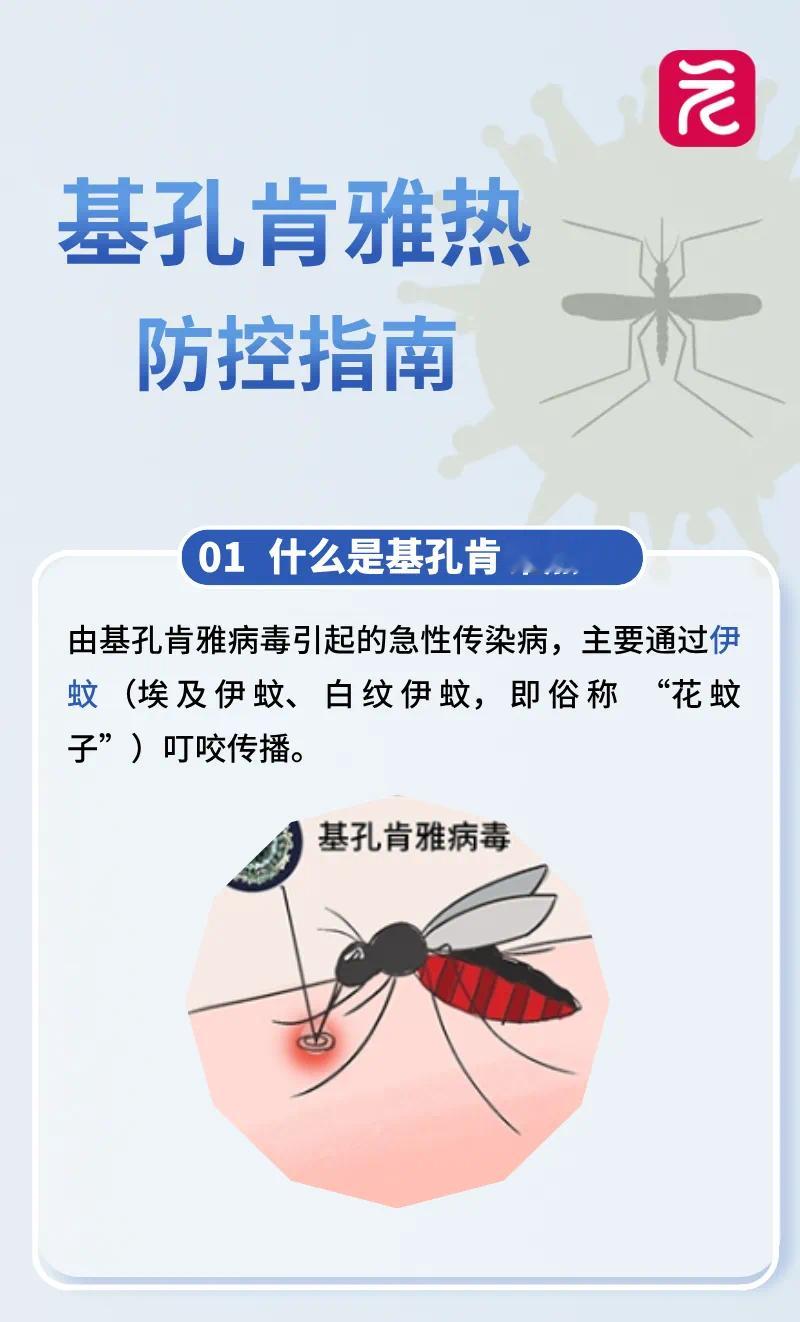 佛山顺德确诊3627例基孔肯雅热目前来看广东较多，这玩意不会人传人，主要通过蚊子