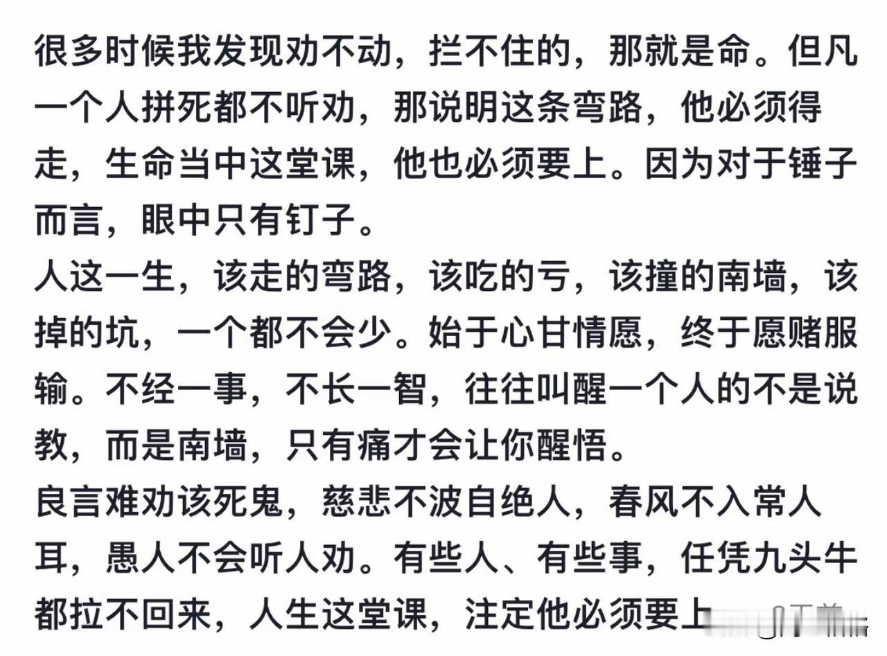 让人回头的只有南墙，有时候还得多撞几次呢