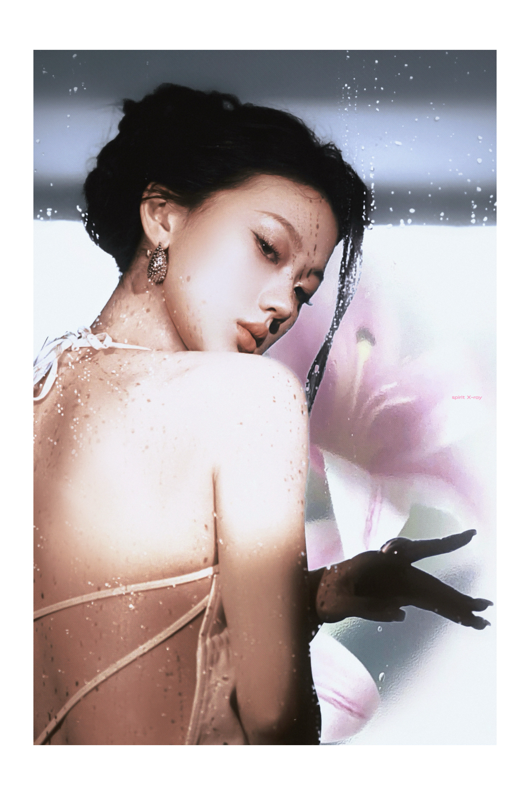 -水雾百合