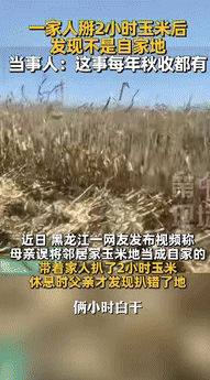 “担心的事还是发生了！”黑龙江一大妈带着家人去地里扒玉米，不料，大叔干了2个小时