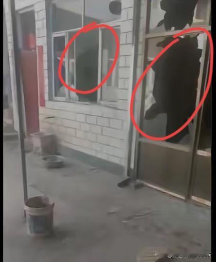 狗主人身上一共九处刀伤，不过没有一处是致命的，只是有一刀扎在了腿上大动脉，导致流