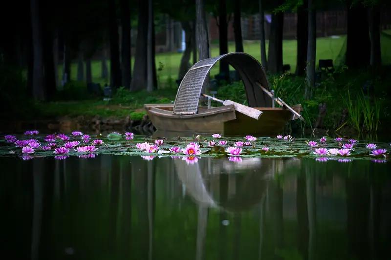 看到“节节莲藕泥中睡”这个上联，感觉特别有意境，仿佛一幅静谧的画面就在眼前，莲藕