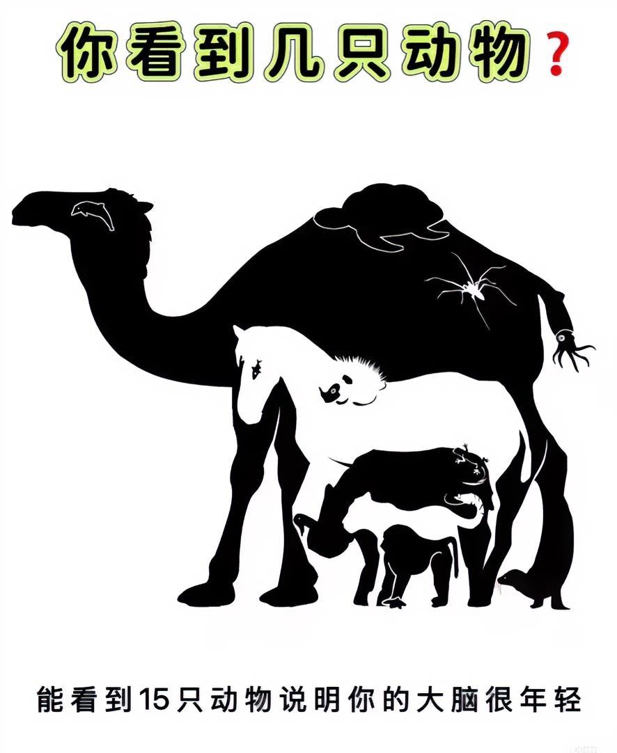 你能看到几只动物呢？很多哦！