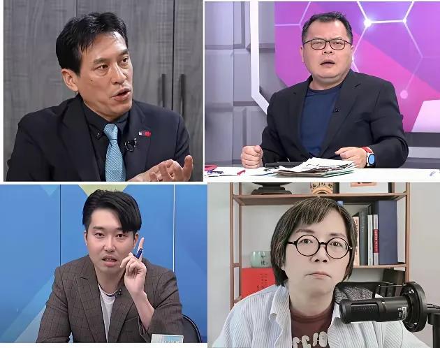 台湾网友评出的四大绿营侧翼，居然黄智贤上榜！近日，台湾网友在网络上评出四
