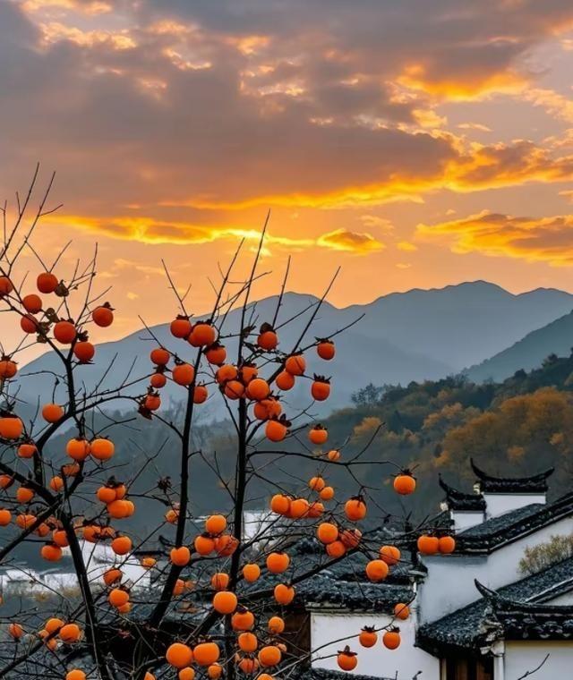 不知道大家有没有留意：清明扫墓时，越是家族兴旺、家风正的家庭，晚辈回来得越齐整—