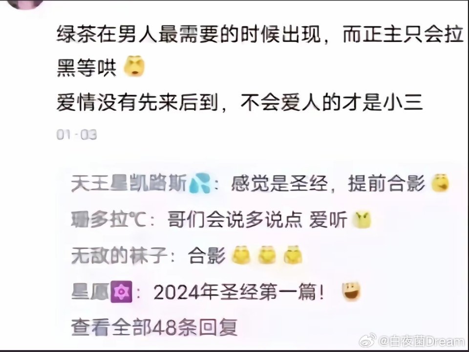 不爱人的才是小三