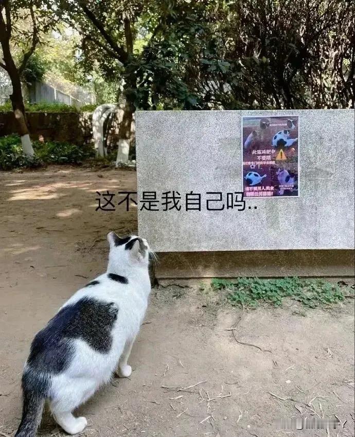 吃瓜吃到自己了呗！​​​