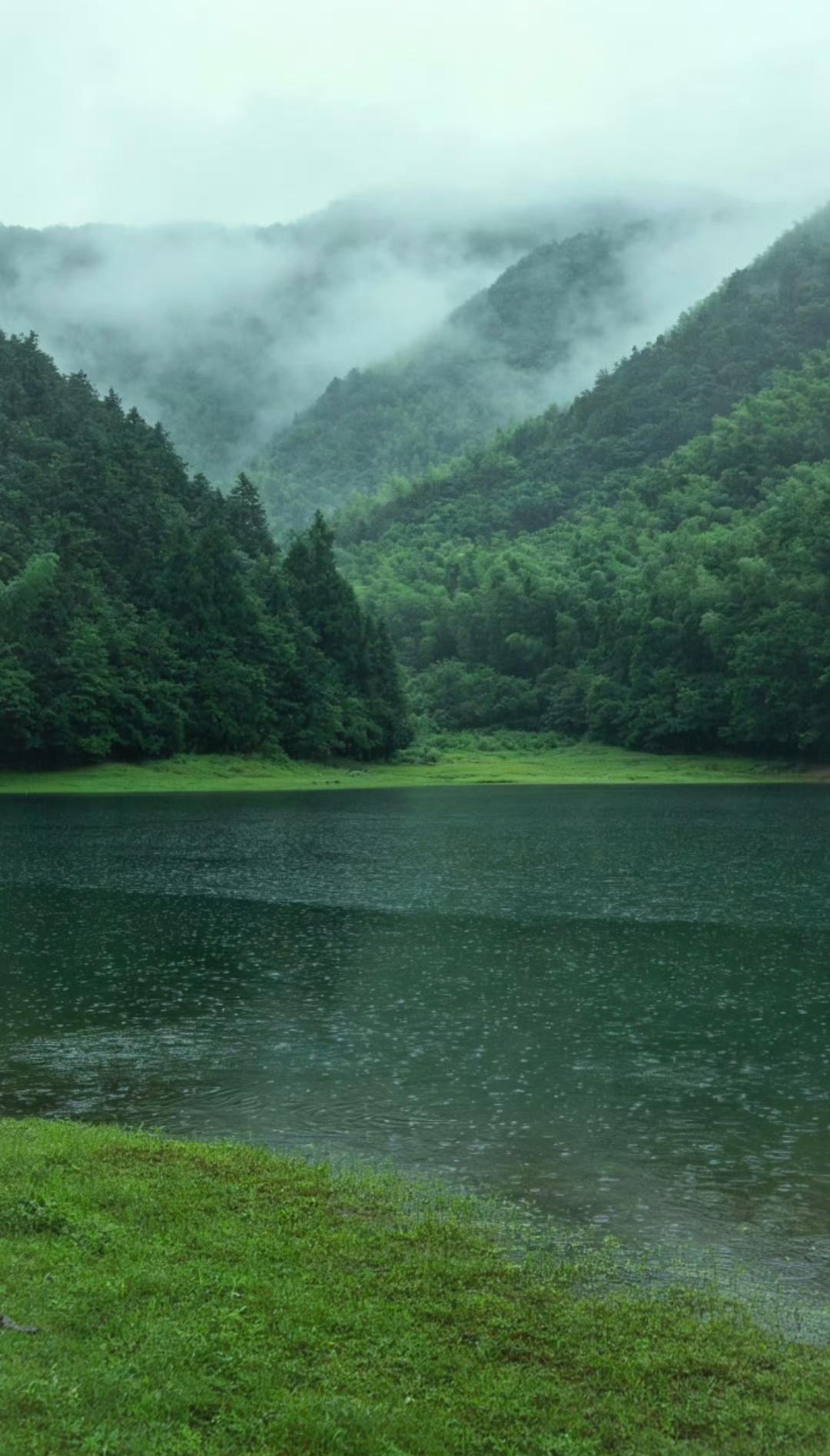 藏在深山的绿野秘境，烟雨山水宛如水墨画卷烟雨漫过山腰竹海，薄雾缠绕连绵青山