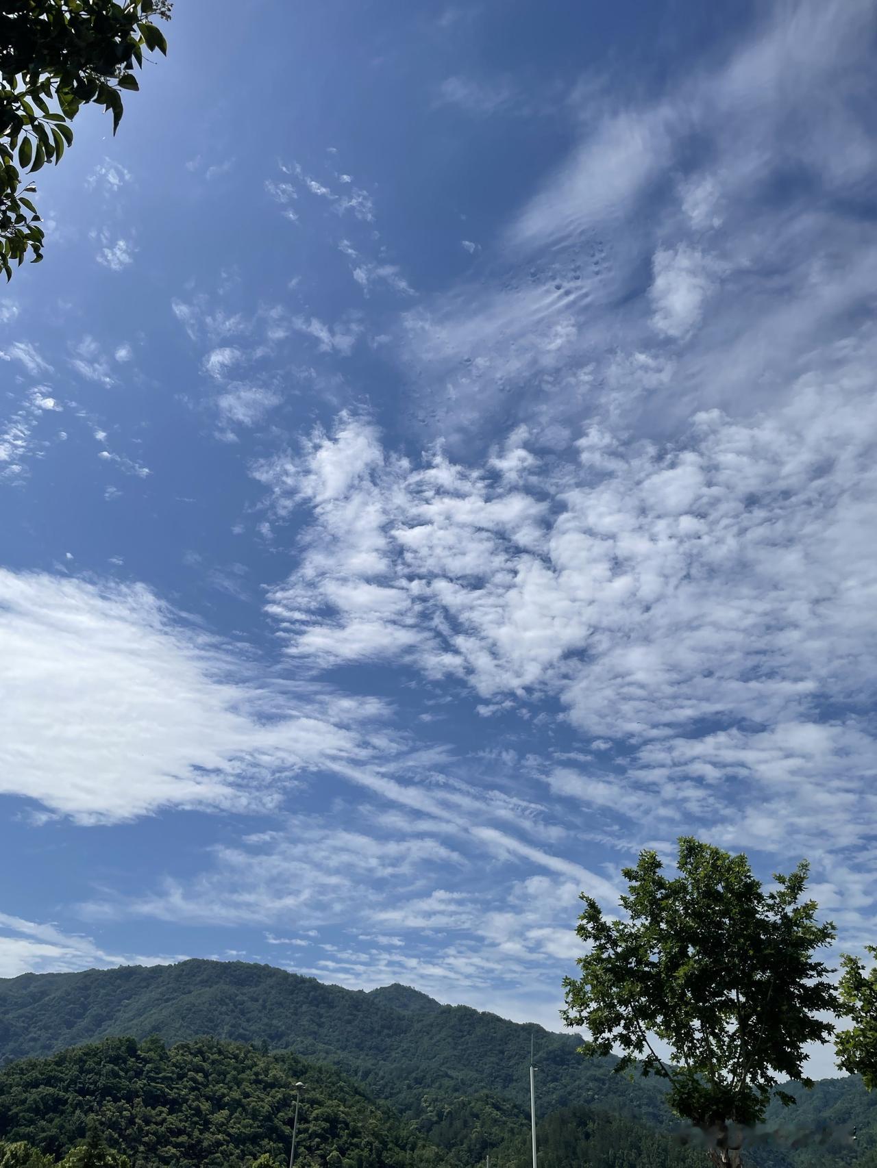 我的今日状态：💪🏻充满干劲我这里的天气：☀️晴天又是高温的一天，中午以