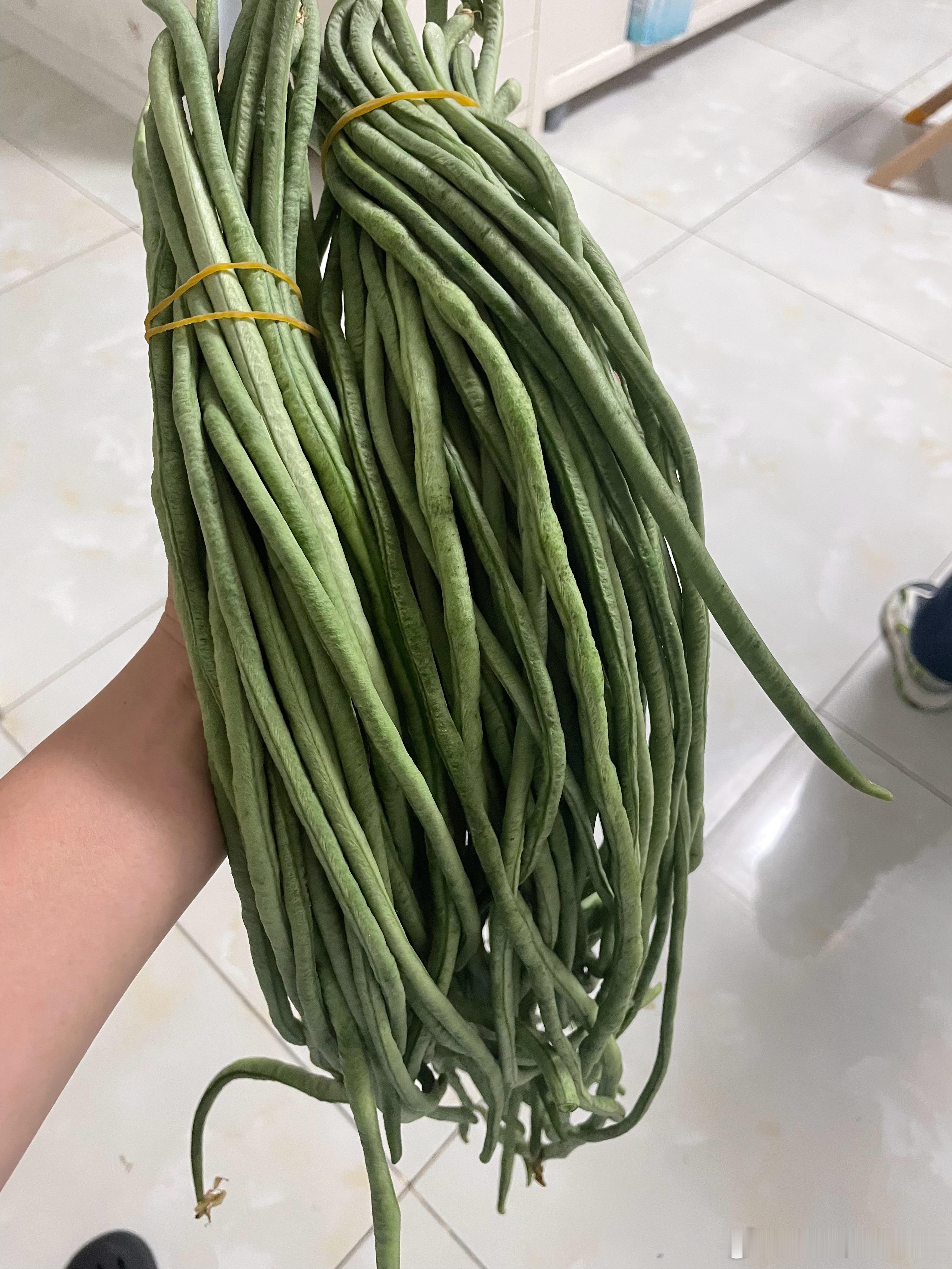 猪先生从老家买了两把豆角，很新鲜老家的蔬菜比合肥便宜不少两把才4块钱在合肥估计要