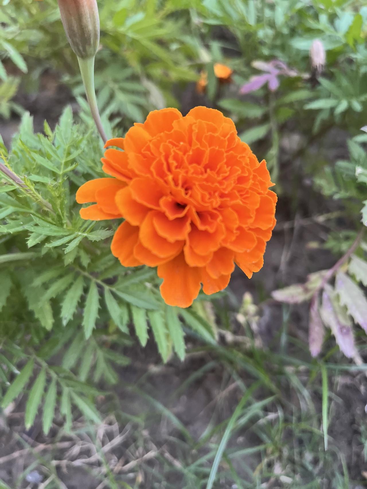 8个越养越废的作死习惯，你中了几条？天天养生，结果把自个儿养出一身毛病。不