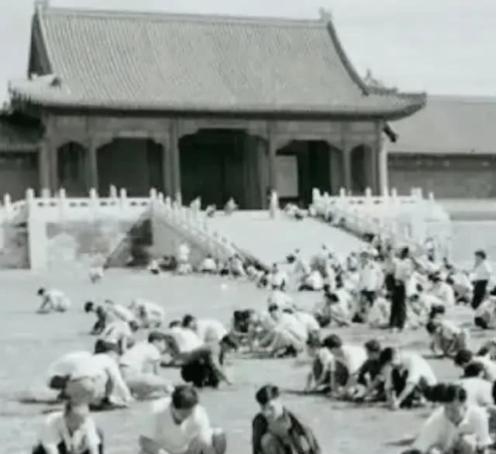1949年，国家组织了7万人在北京故宫里清理垃圾，历时9个月清理出清末以来近40