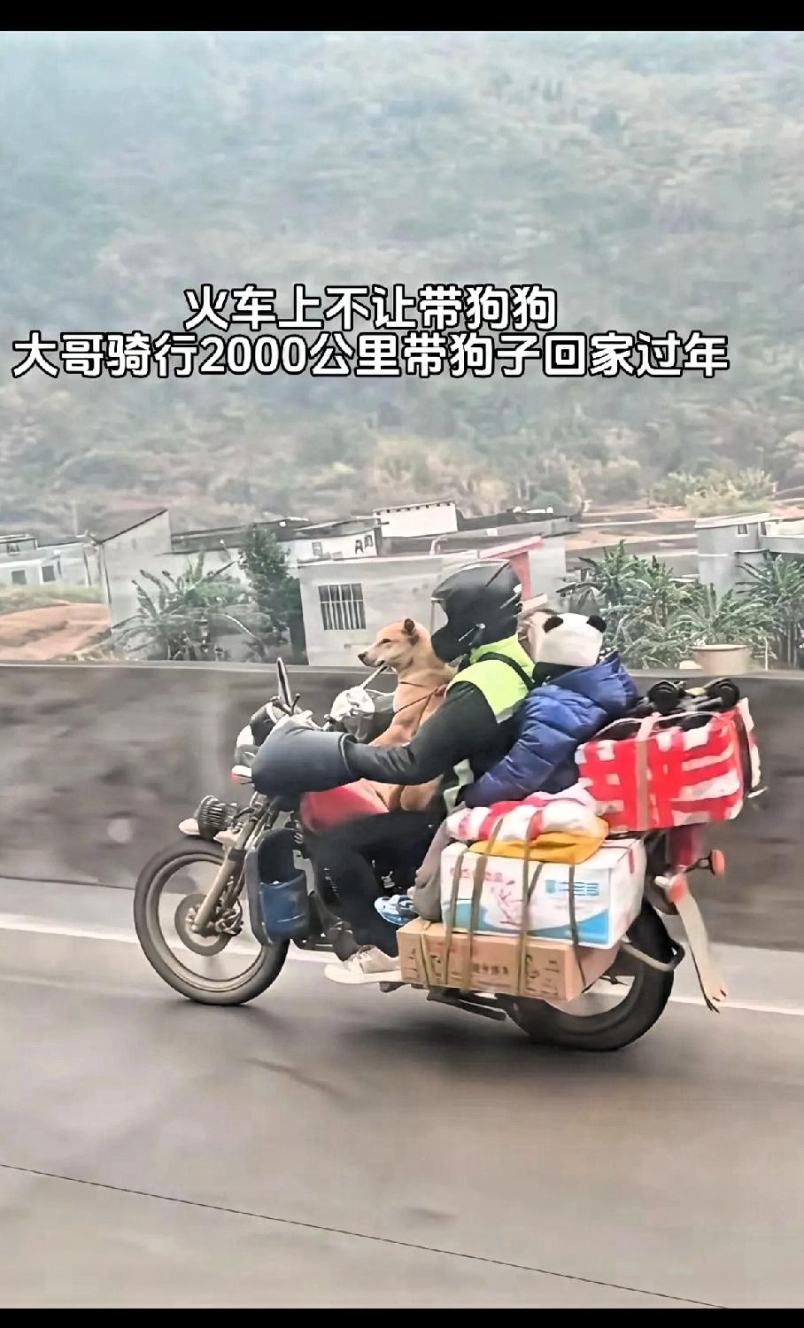 为大哥点赞！为了带狗回家过年，大哥骑摩托2000公里，火车不让带就骑车，这主人