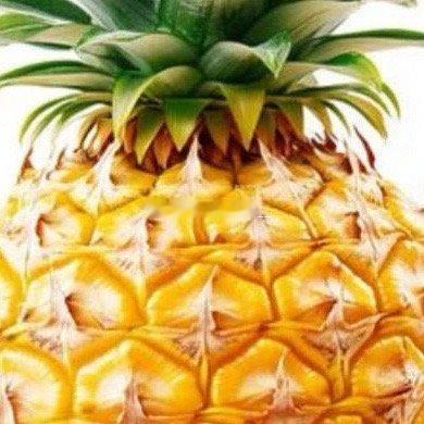 手把手教你种菠萝：从果冠到收获吃菠萝时别扔掉顶部的“绿冠”，那是开启种植之旅的钥