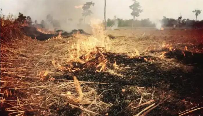 谁能料到？曾经明令禁止的焚烧秸秆，如今却意外解锁了逆天妙用！北京师范大学的最新研