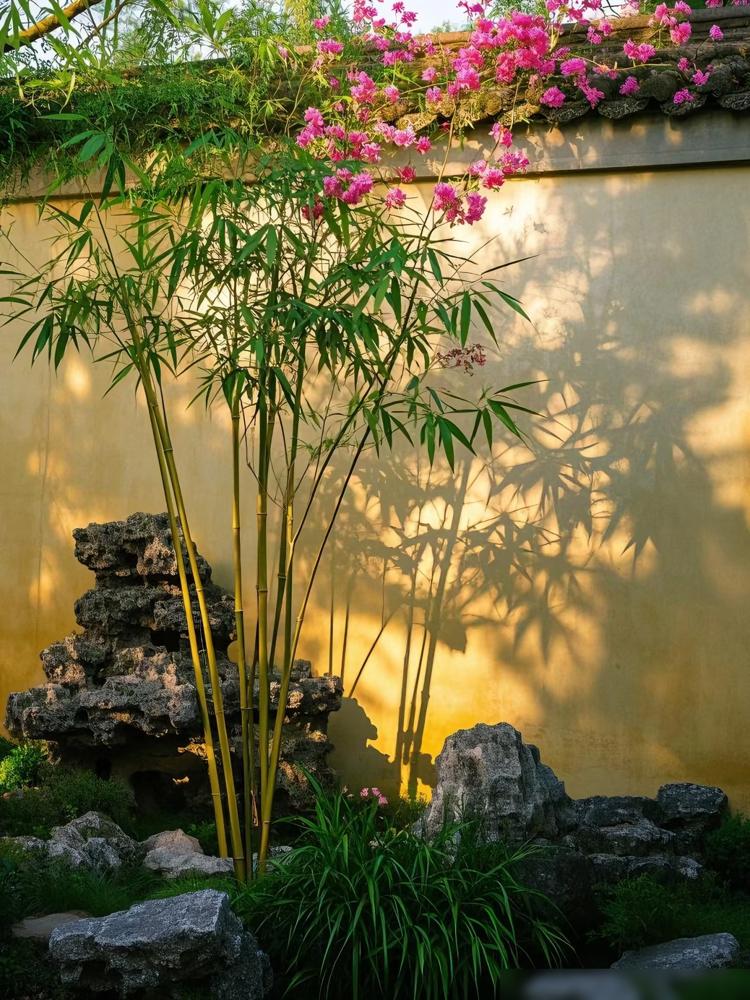 真正厉害的人，都守住了这八个底线。​1.不欺弱​看见老人好骗就伸手？