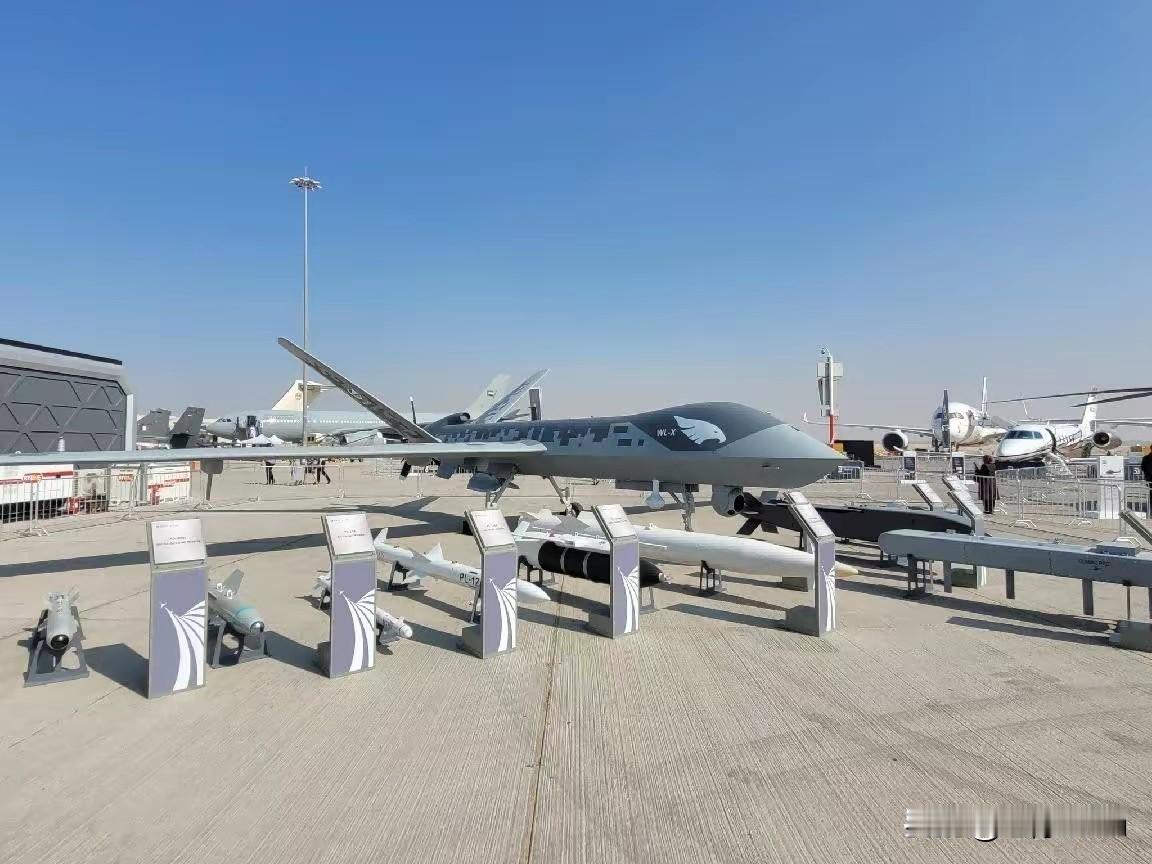 6. 翼龙-X无人机亮相迪拜航展深海反潜成最大亮点：翼龙-X无人机亮相迪拜航展
